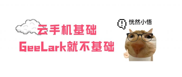 云手机基础 GeeLark就不基础